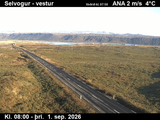selvogur_1-1788256858.jpg