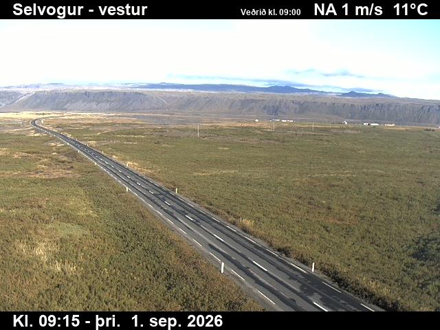selvogur_1-1788261961.jpg