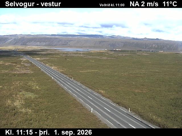 selvogur_1-1788269152.jpg