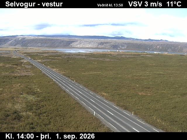 selvogur_1-1788278769.jpg