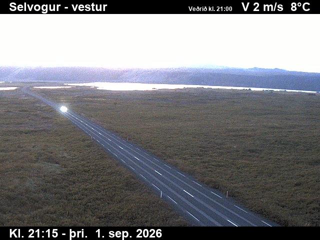 selvogur_1-1788305135.jpg