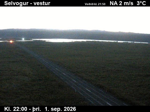 selvogur_1-1788307304.jpg