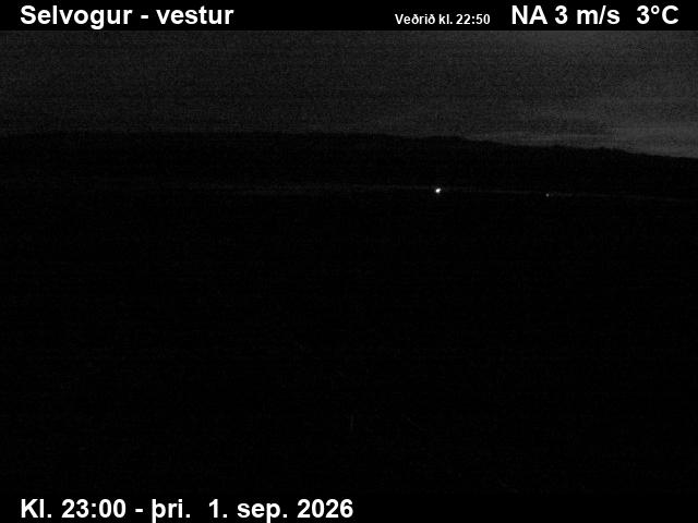 selvogur_1-1788310846.jpg