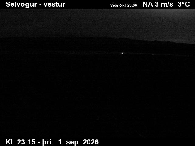 selvogur_1-1788312329.jpg