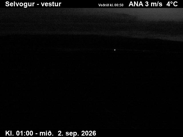 selvogur_1-1788318348.jpg