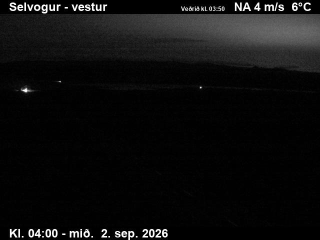 selvogur_1-1788329146.jpg
