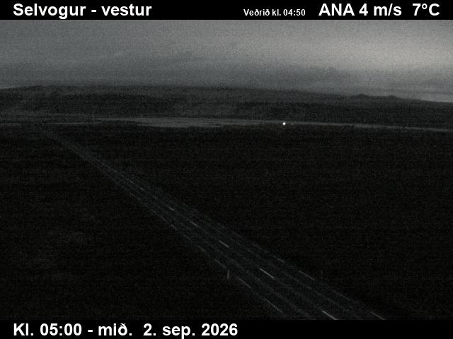 selvogur_1-1788332534.jpg