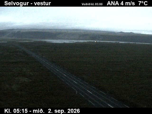 selvogur_1-1788333955.jpg