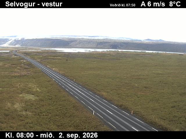 selvogur_1-1788343276.jpg
