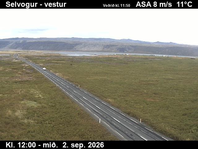 selvogur_1-1788357654.jpg