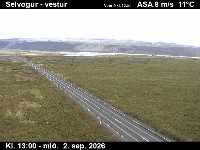 selvogur_1-1788361312.jpg