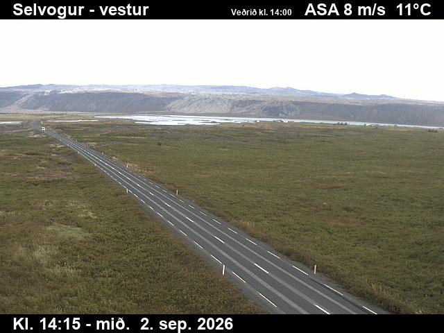 selvogur_1-1788366352.jpg
