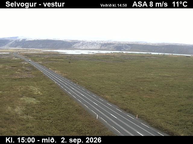 selvogur_1-1788368468.jpg