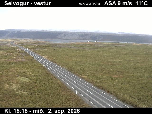 selvogur_1-1788369948.jpg