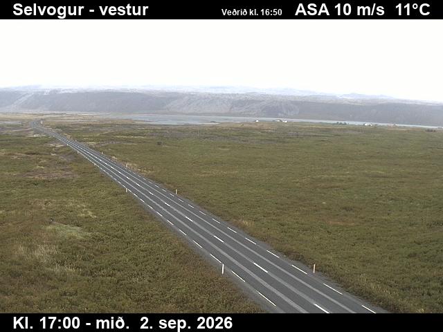 selvogur_1-1788375948.jpg