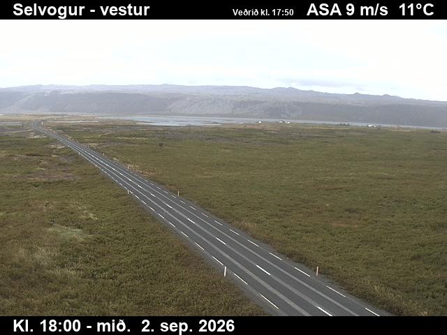 selvogur_1-1788379558.jpg