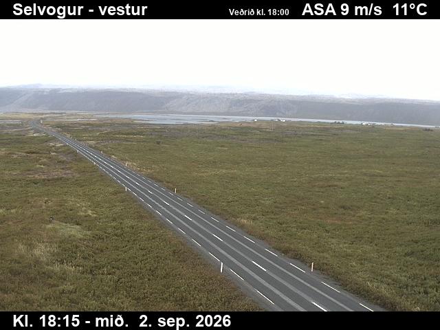 selvogur_1-1788380739.jpg