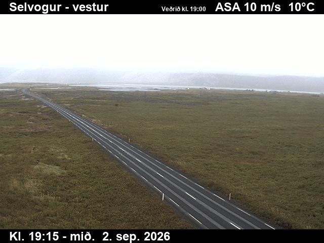 selvogur_1-1788384354.jpg