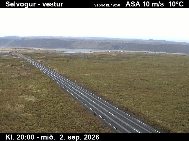 selvogur_1-1788386527.jpg