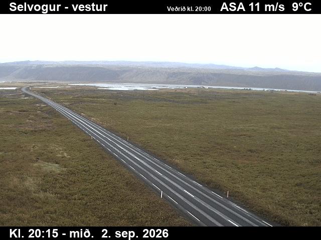 selvogur_1-1788387948.jpg