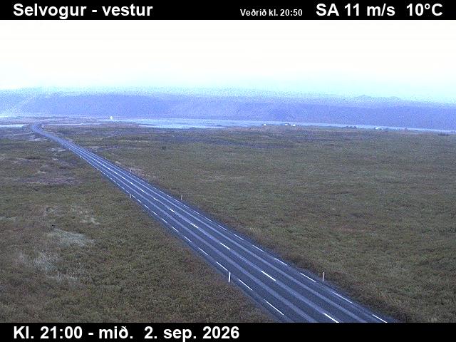 selvogur_1-1788390123.jpg