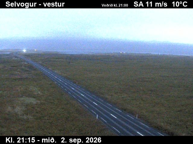 selvogur_1-1788391552.jpg