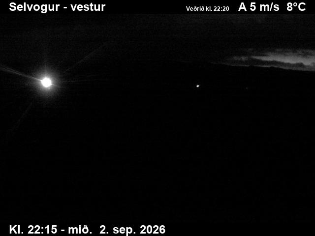 selvogur_1-1788395184.jpg