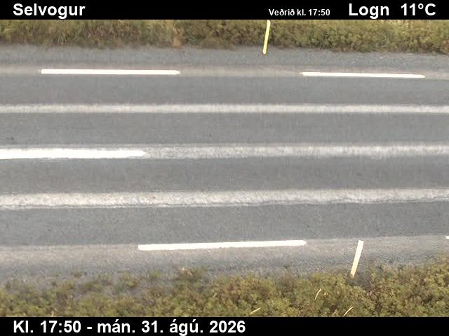 selvogur_2-1788206545.jpg