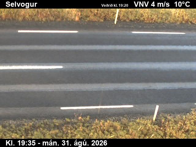 selvogur_2-1788212288.jpg