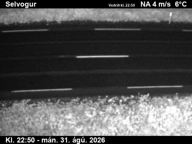 selvogur_2-1788224521.jpg