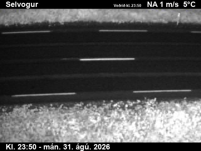 selvogur_2-1788228136.jpg