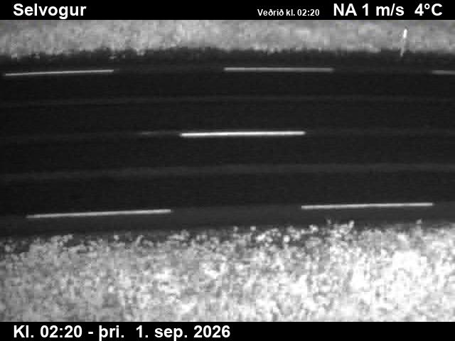 selvogur_2-1788236811.jpg