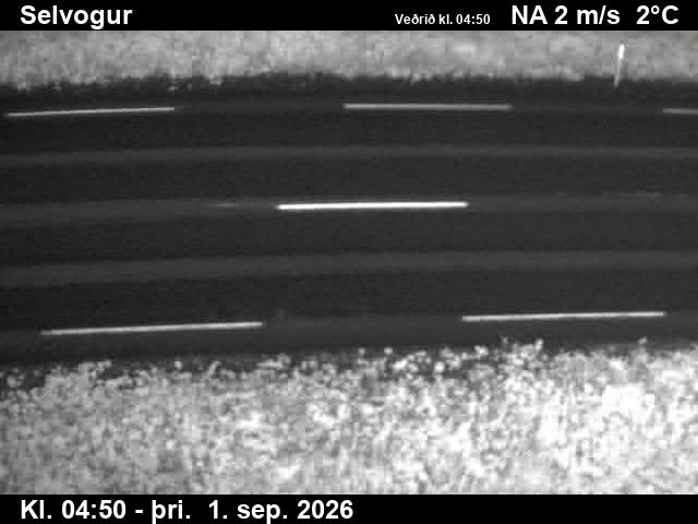 selvogur_2-1788246134.jpg