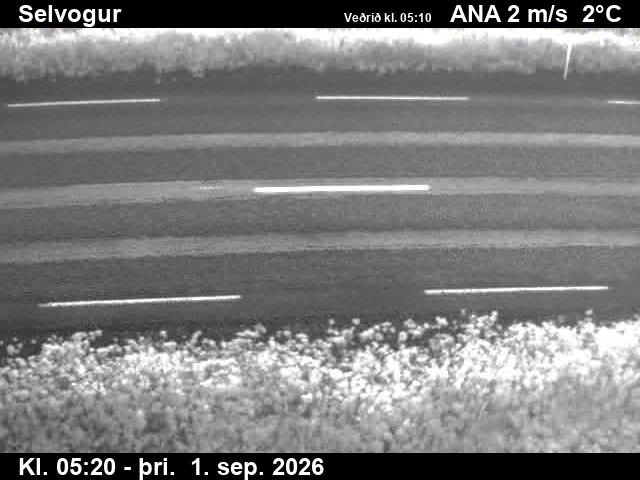 selvogur_2-1788247598.jpg