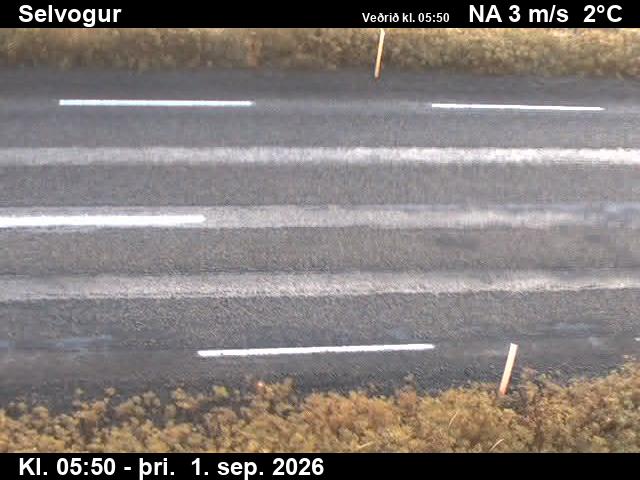 selvogur_2-1788249687.jpg