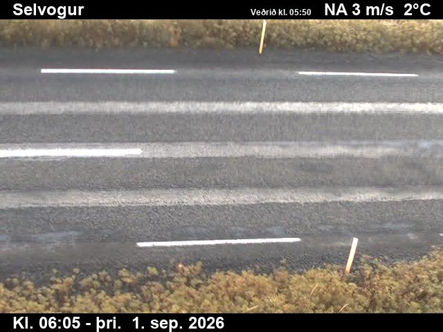 selvogur_2-1788249976.jpg