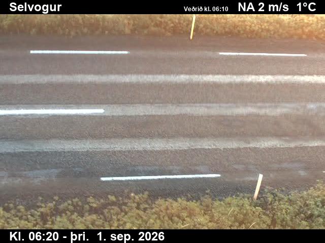 selvogur_2-1788251147.jpg
