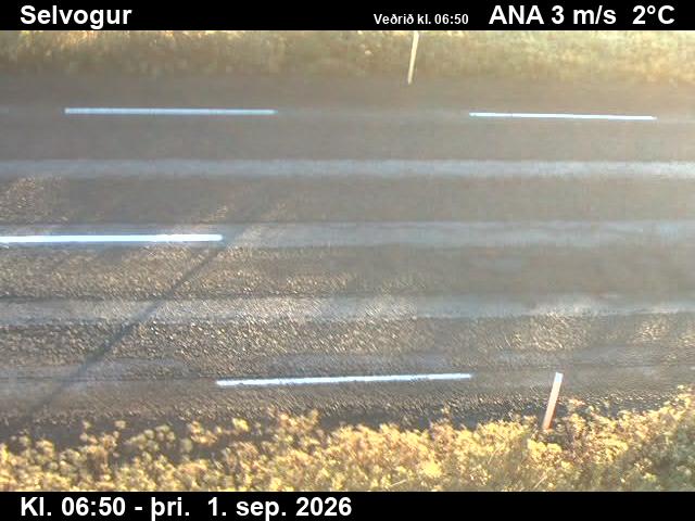 selvogur_2-1788253270.jpg
