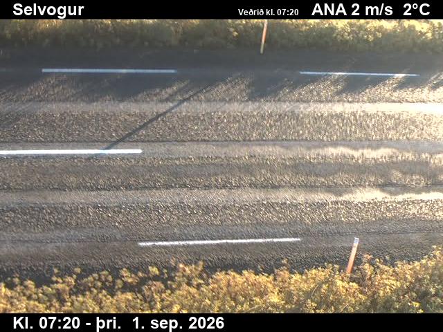 selvogur_2-1788254794.jpg