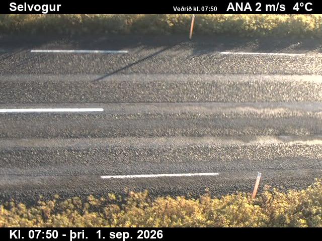 selvogur_2-1788256912.jpg