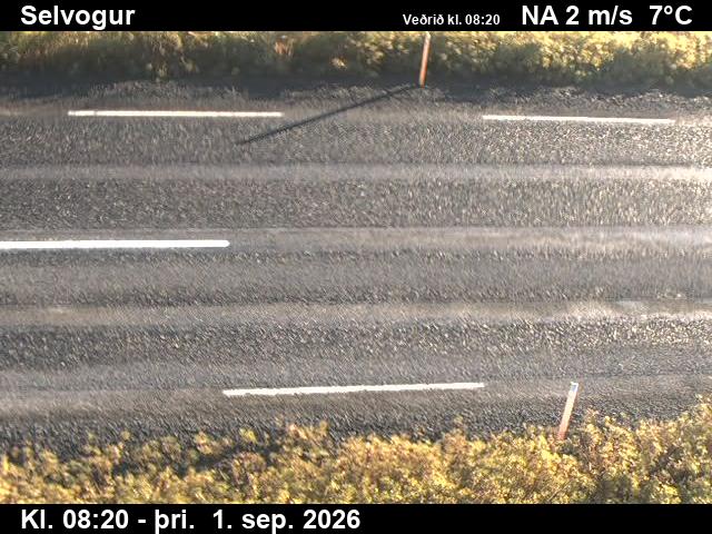 selvogur_2-1788258500.jpg