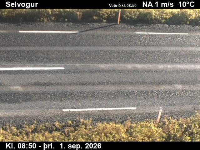 selvogur_2-1788260505.jpg