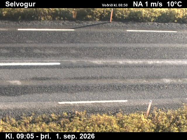 selvogur_2-1788260776.jpg