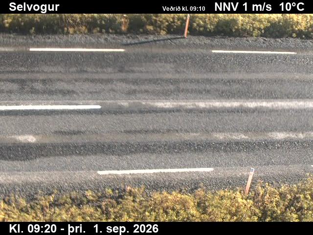 selvogur_2-1788261938.jpg
