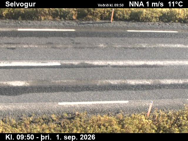 selvogur_2-1788264122.jpg