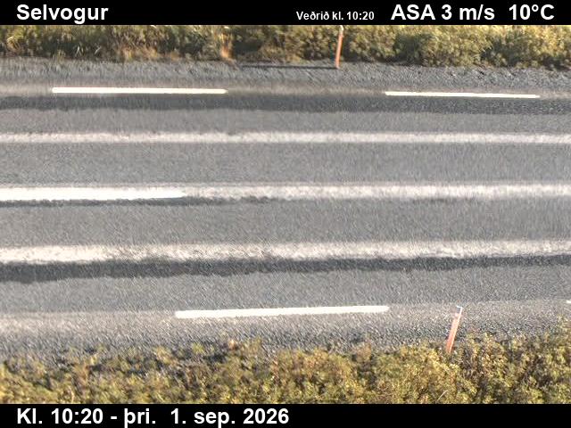 selvogur_2-1788265583.jpg
