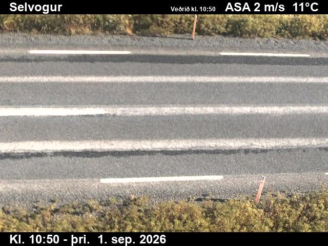 selvogur_2-1788267731.jpg