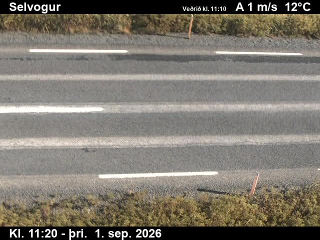 selvogur_2-1788269129.jpg
