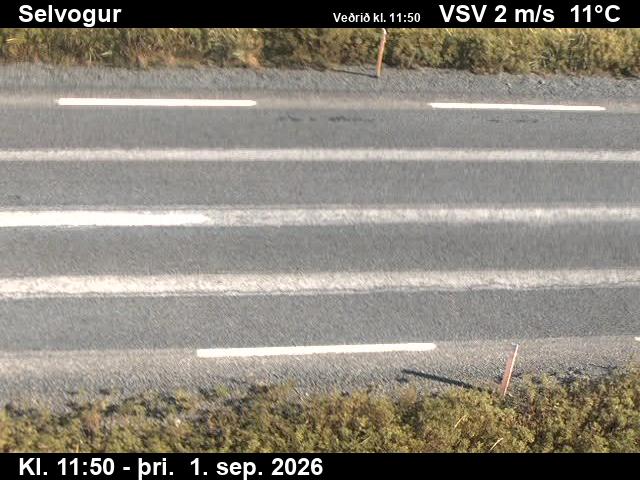 selvogur_2-1788271251.jpg