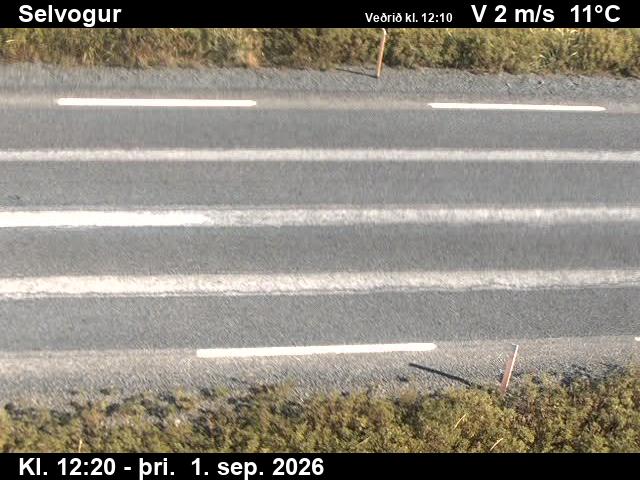 selvogur_2-1788272751.jpg